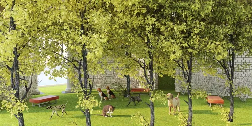 Enclosed park for my furry friends 😃