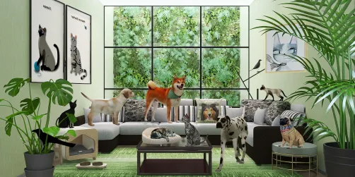 When Animals are in charge!