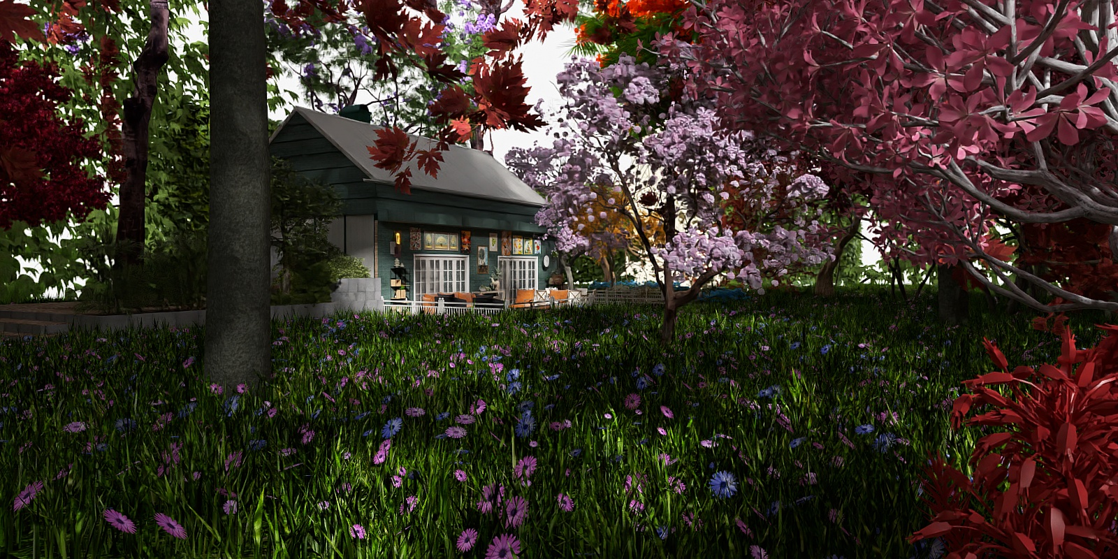 Where is the cat? ♡