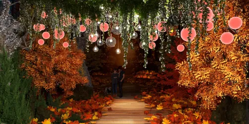 When the leaves start to turn...