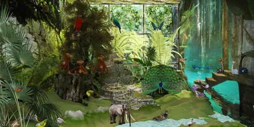 Life in the Amazon