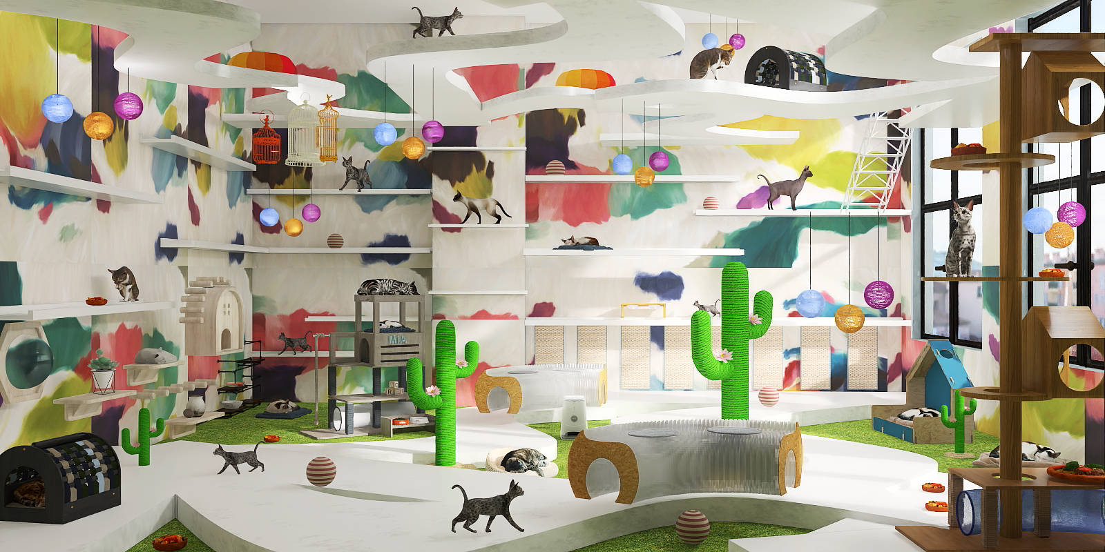 exclusive for cats!! 