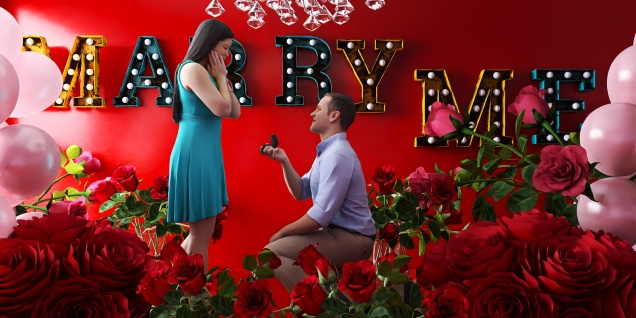 The Perfect Proposal