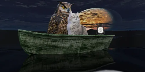 #10. The Owl and The Pussycat