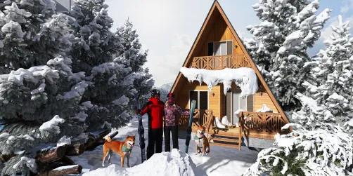 Winter Fun. Design 4 of 20 Projects.