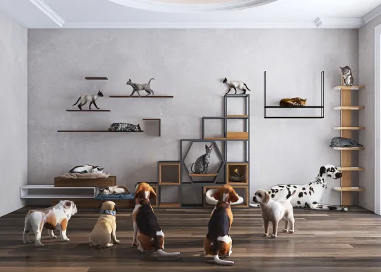 Pets in home Design Rendering