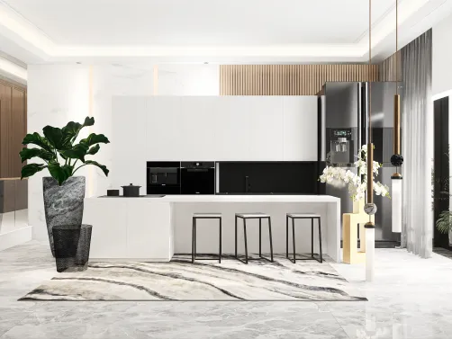 🏛🍳🖤🤍 Black and White Kitchen