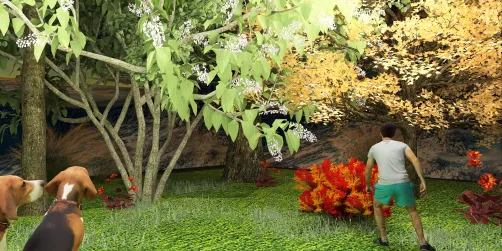 Where the Red Fern Grows
