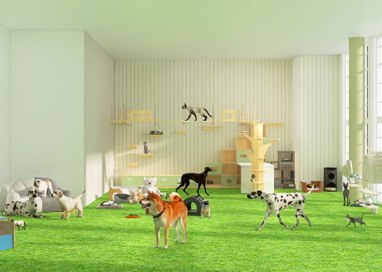 Animal play room Design Rendering