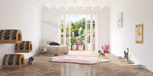 Cat room
