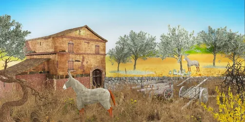 Campagna Mediterranea 