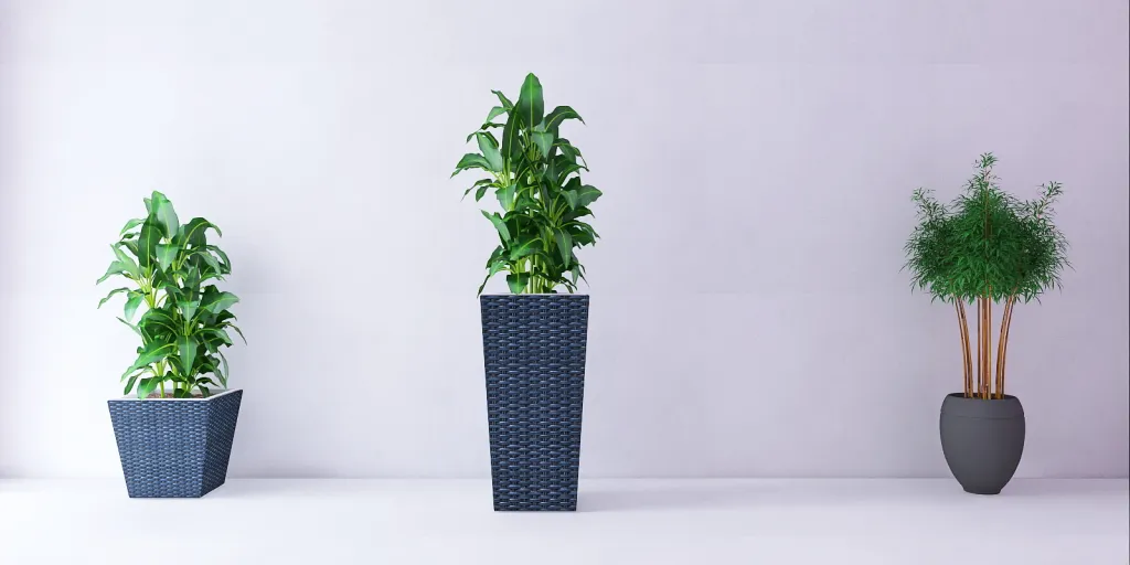 a green plant with a green plant in it 