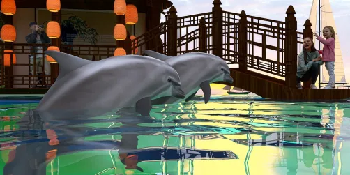 🐬🐬🐬🐬🐬