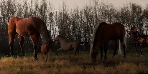 Wild horses couldn't drag me away....