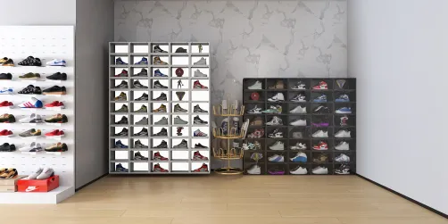 Shoe closet