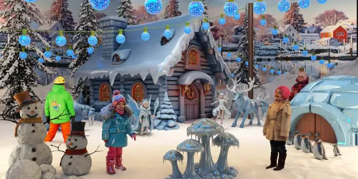 ✨️ Little Winterland ✨️