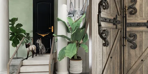 La casa dei gatti 🐱🐱🐱