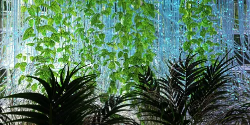 Let the green shine through 💚💚💚🍀💚🍀🌙🌙