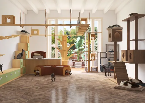 Room full of cats and things cats would love Design Rendering