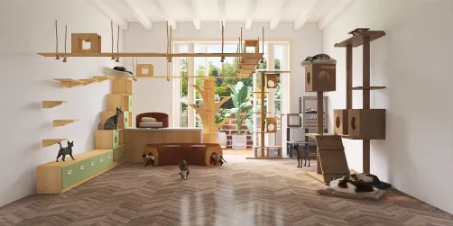 Room full of cats and things cats would love