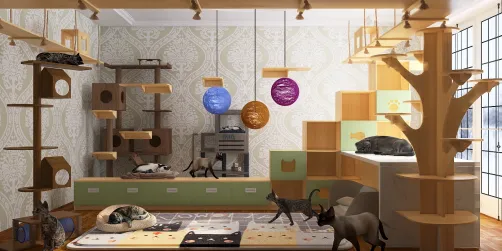 Cat House!
