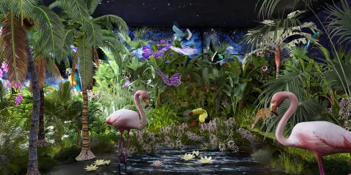 Tropical Paradise...