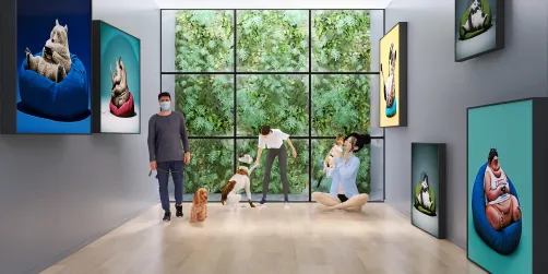 here is a training room for your pets 
