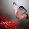 Kimberly Lockaby