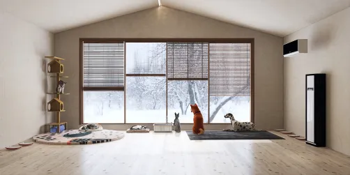 quarto para os meus gatos e cachorro!!!