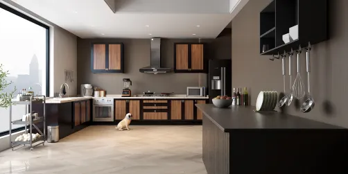 Black brown kitchen