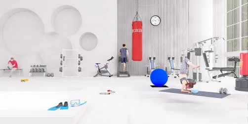 Home indoor Gym