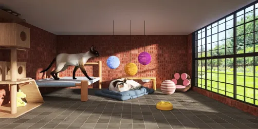 Cat cage