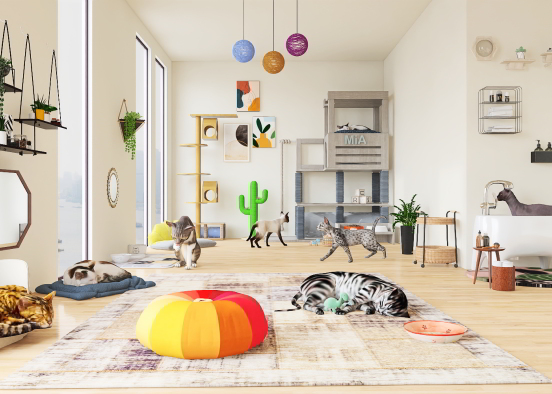 Cat sitter place 😻 Design Rendering