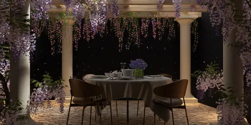 Dinner under the Stars 🌟 