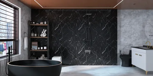 Black Luxury Washroom