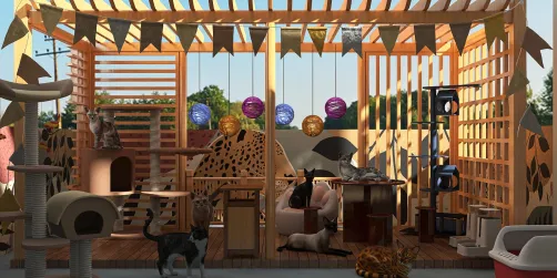 Cat Playhouse 