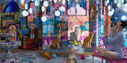 The imaginary world of my Persian cats (imaginary)