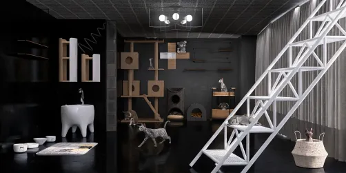 Cat house 🐈‍⬛