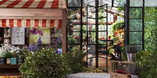 Herbs & Botanicals
