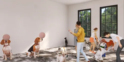 Endroit où on adopte des chiens 🐕 