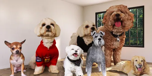 Big doooogsss🐶🐶🐶