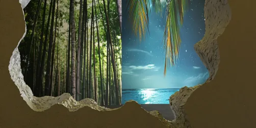 Lucid Dream