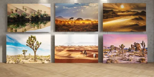 Desert Mural Sharing