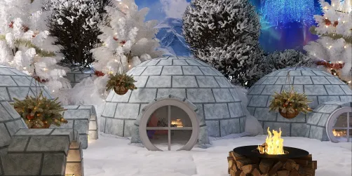 Neighbourhood igloo 
