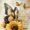 Kimberly Lockaby