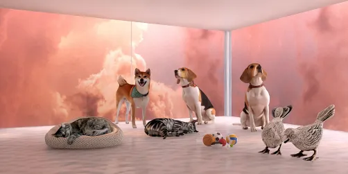 Animali giganti 