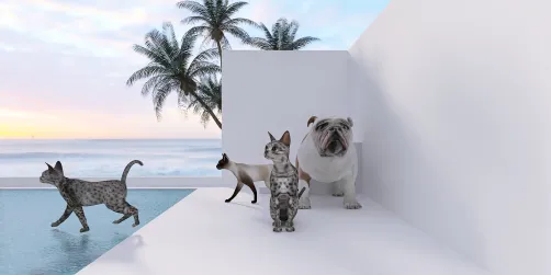 Furry vibes