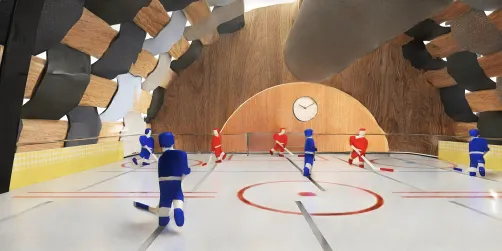 hockey anyone? 🏒 
