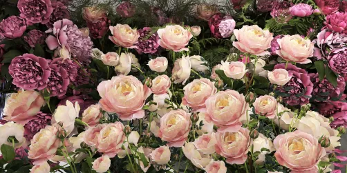 Happy Mother’s Day 