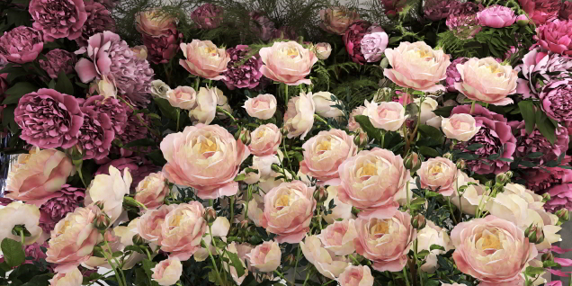 Happy Mother’s Day 